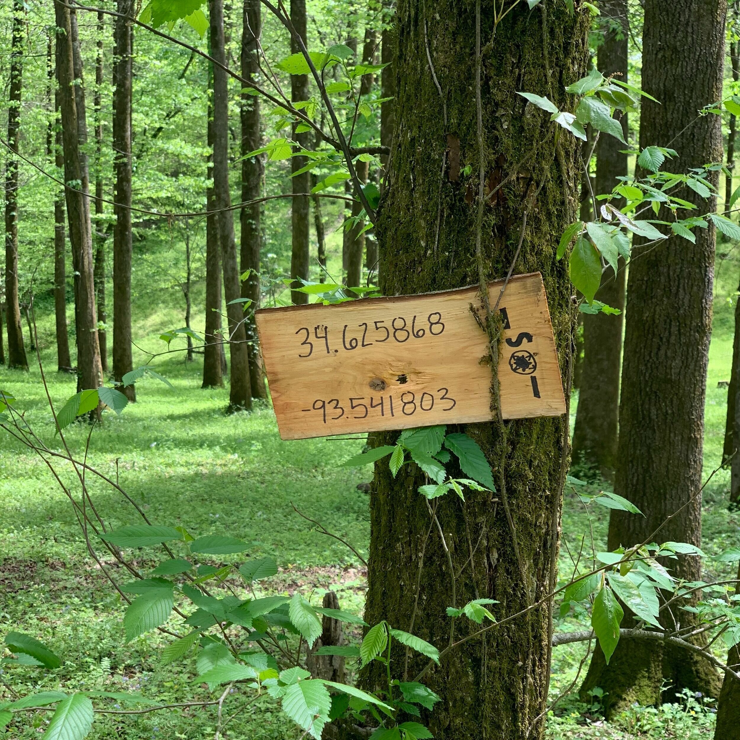 Our Pioneers started their day by wandering into the woods to find a tree that held the coordinates of the finish line.